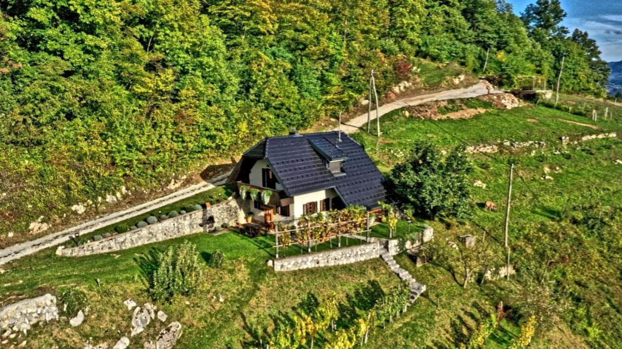 Vineyard Cottage Podrzaj Otočec Exterior foto